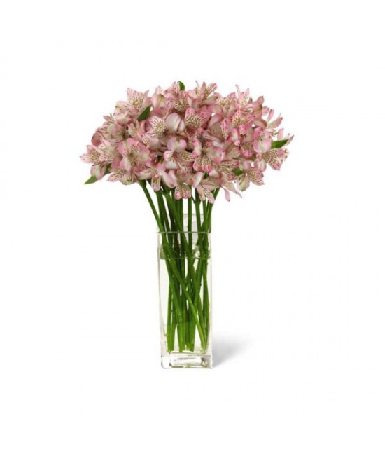 The Pure Bliss Bouquet The Pure Bliss Bouquet